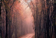 [冰雪]2026年冬奥会雪车雪橇项目将在科尔蒂纳丹佩佐举行.