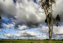 [冰雪]2026年冬奥会雪车雪橇项目将在科尔蒂纳丹佩佐举行.