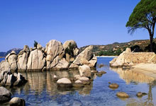 半岛体育官网：WTT蒙彼利埃站：国乒无缘冠军，单打冠军分别花落法日环球时报.